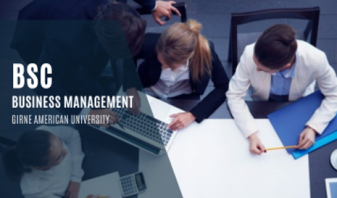 BSC BUSINESS MANAGEMENT- GIRNE American University